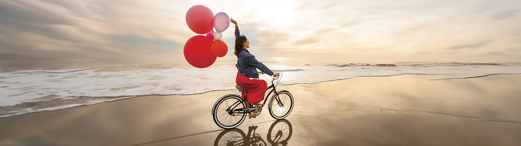 Bike Electra Andi 3i