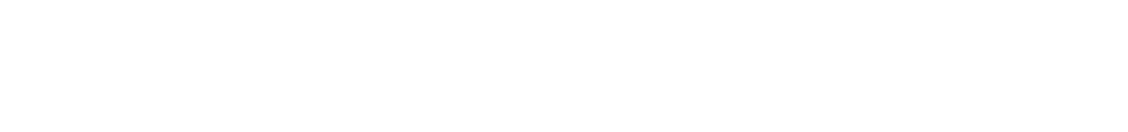 SPINN
