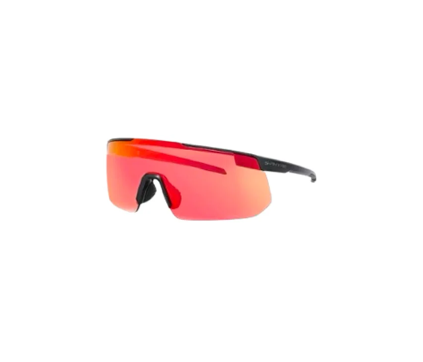 Dahon Sport Eyeware sunglasses Gray/Red