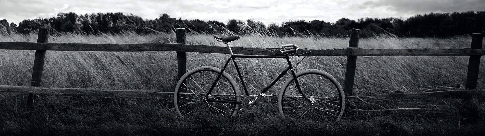 Men's Bike Pashley Guvnor 3 Black 24.5"
