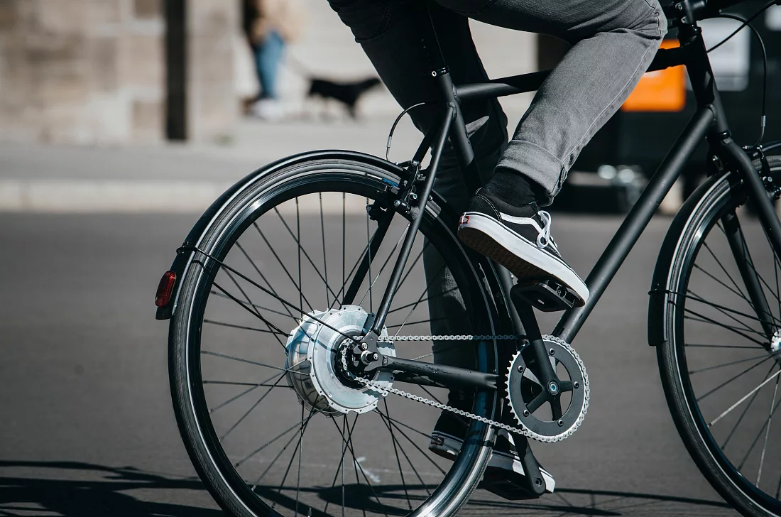 Zehus Hub Motor