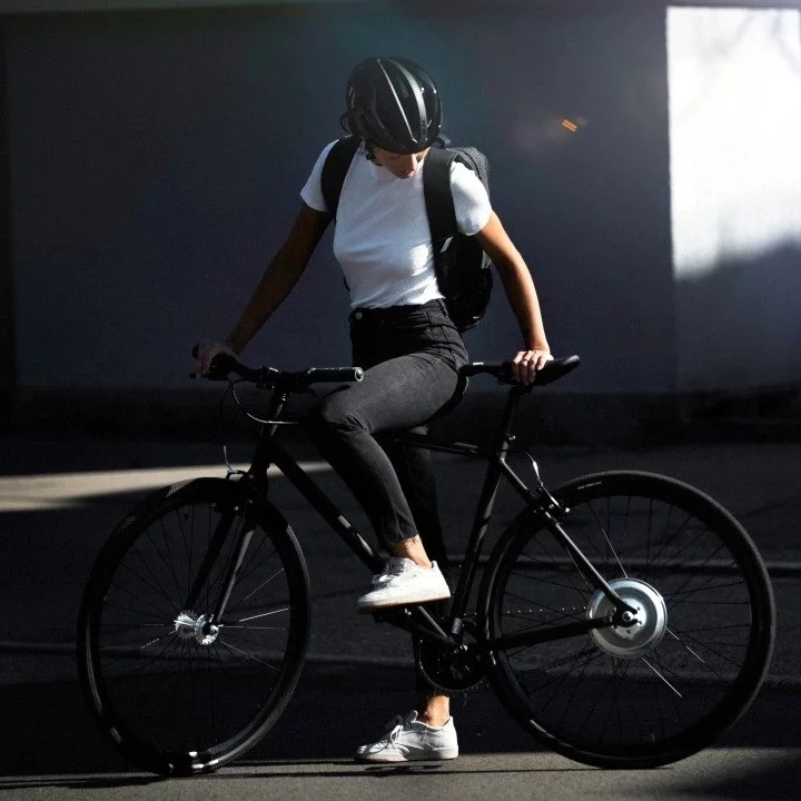E-bike FIXIE Inc. Backspin Zehus "All in One" Grey 46 cm