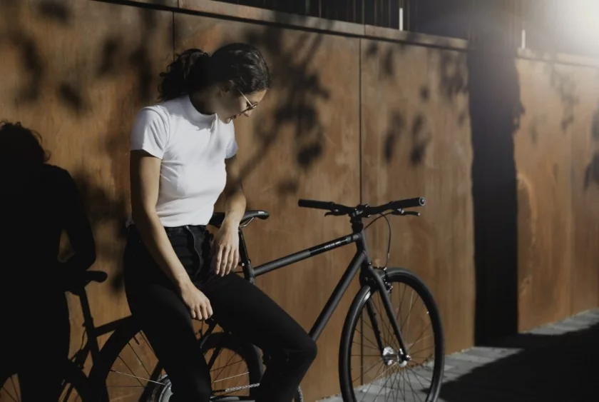 E-bike FIXIE Inc. Backspin Zehus "All in One" Grey 46 cm