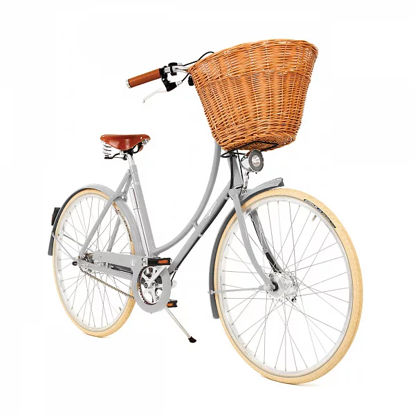 Bike Pashley Britannia 8