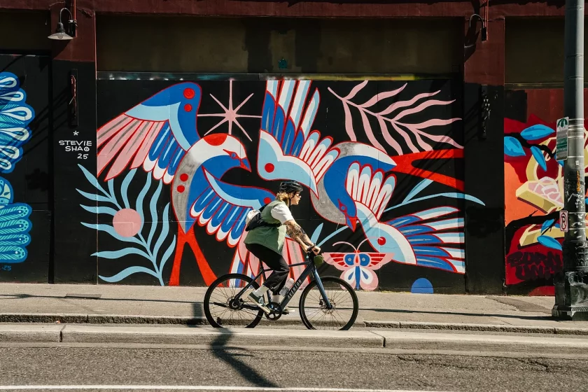 E-bike Aventon Soltera 3 ADV Sterling XL